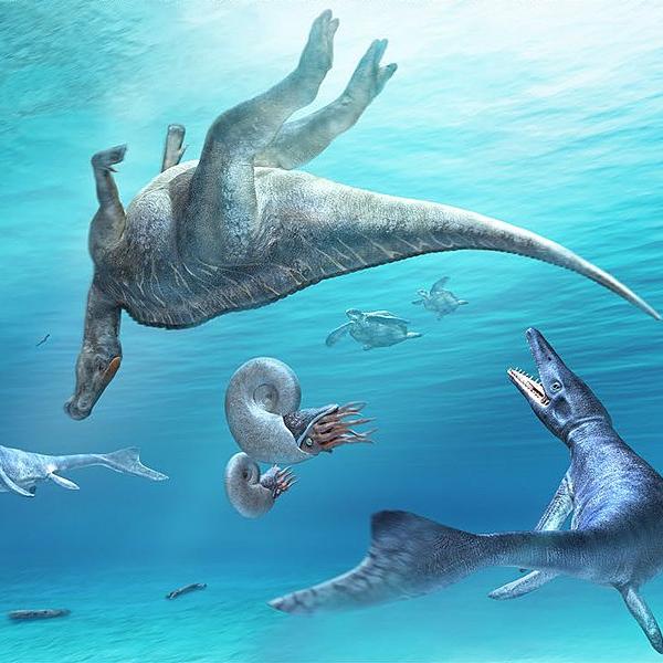 Dinosaurio agua clearance
