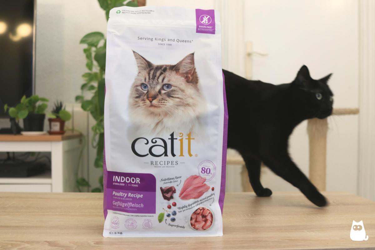 Análisis de la comida para gatos Catit - Composición, variedades y precio