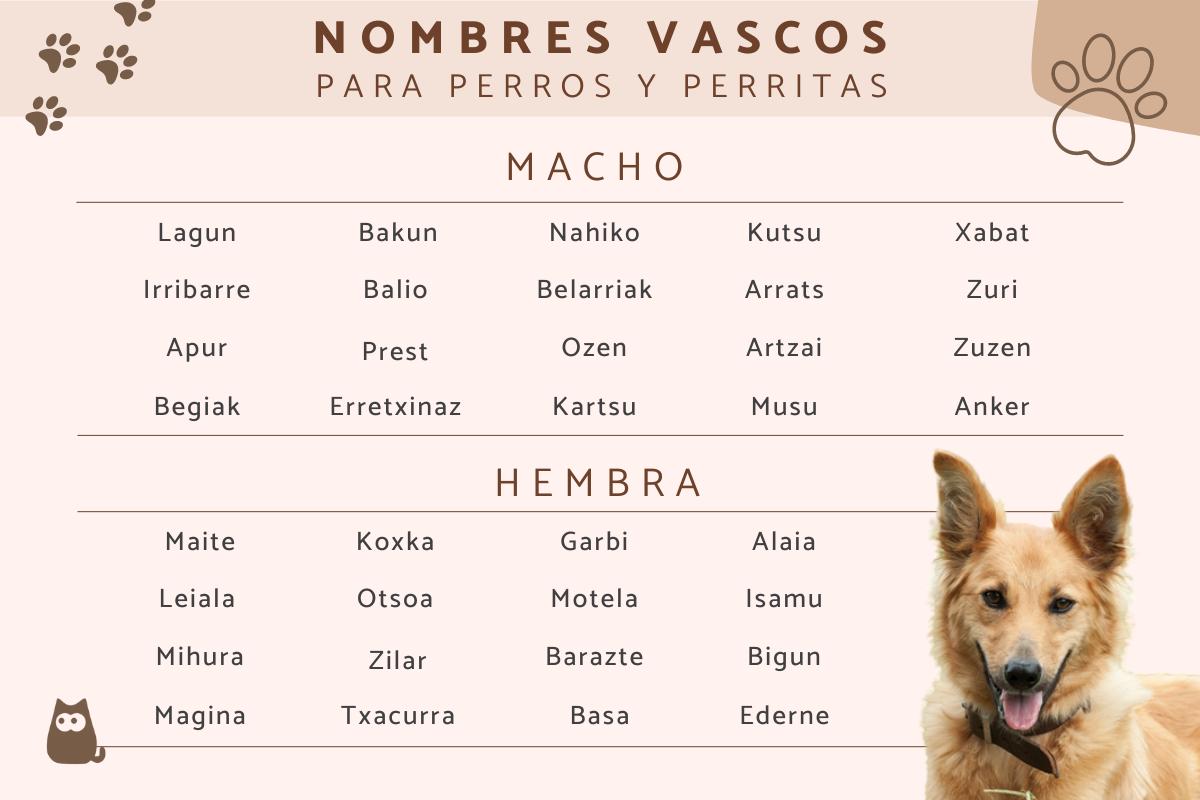 Nombres de perros en euskera