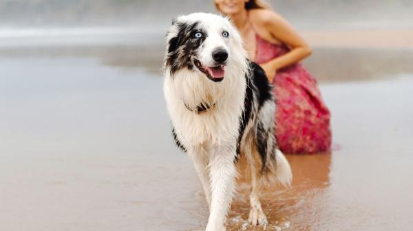María Vetican, veterinaria: “Muchos perros se deshidratan en la playa por beber agua del mar” - El riesgo del agua salada para los perros y la deshidratación en la playa