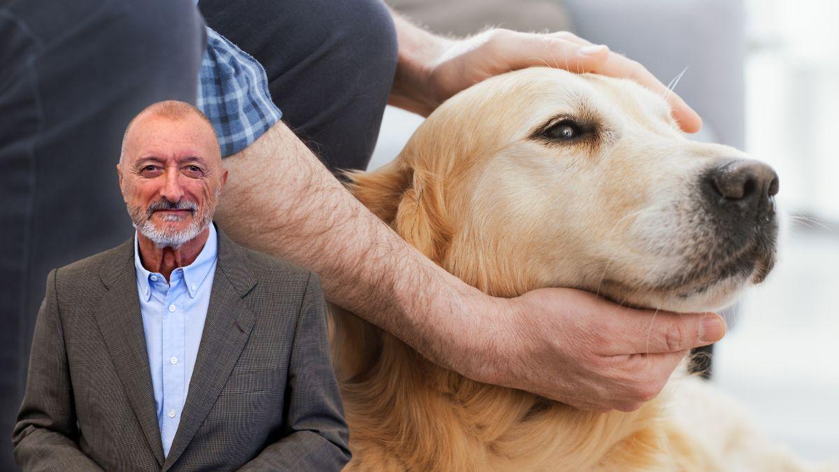 Arturo Pérez-Reverte, escritor, reflexiona sobre los perros: “Nadie que no haya convivido con perros conocerá hasta dónde llegan la generosidad, la compañía y la lealtad”