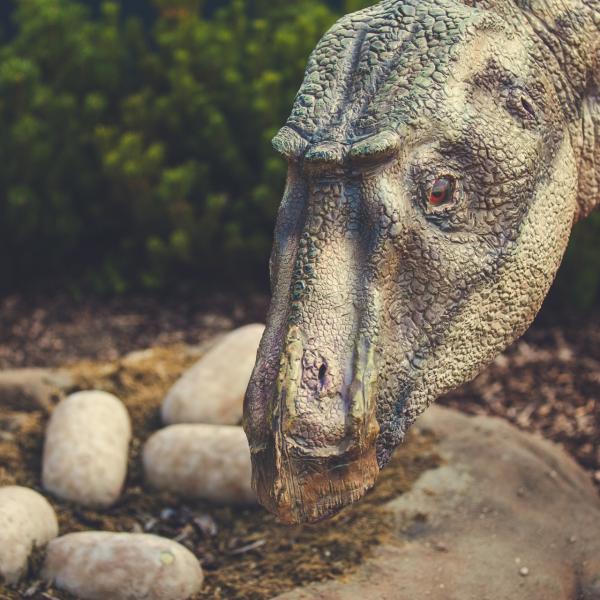 Huevos que nacen dinosaurios online
