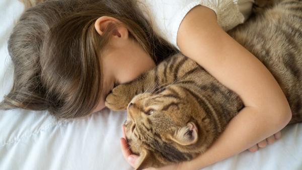 Los expertos en sueño lo aclaran: dormir con mascotas puede darte seguridad, pero también empeorar tu descanso - Los estudios lo aclaran: dormir con mascotas puede afectar al sueño, pero no siempre de la misma forma