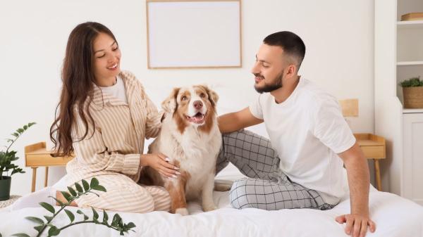 José Luis Puchol, veterinario: “Muchas personas no tienen hijos y convierten a sus mascotas en una parte esencial de su familia” - De propietario a tutor: el cambio de lenguaje que refleja cómo vemos hoy a perros y gatos