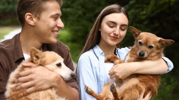 José Luis Puchol, veterinario: “Muchas personas no tienen hijos y convierten a sus mascotas en una parte esencial de su familia”