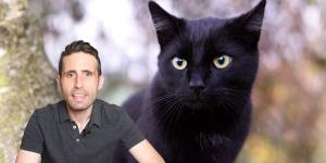 Los veterinarios están de acuerdo: "Los gatos negros pueden parecer tímidos al principio, pero cuando ganan confianza son muy cariñosos"