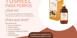 Tusheel para perros: dosis y efectos secundarios