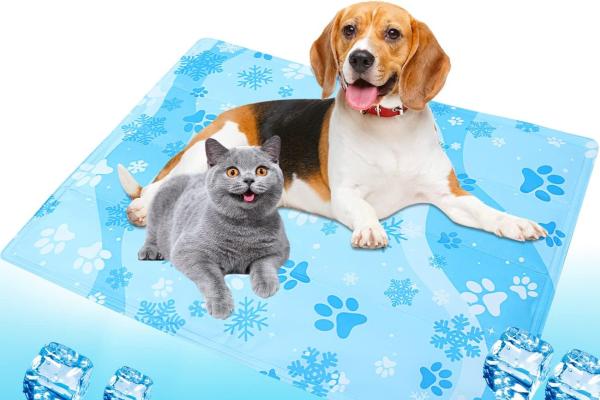 Las mejores mantas refrescantes para gatos - Airminti