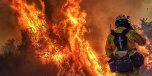 Conmoción en Italia: investigan el uso de gatos vivos para extender los incendios de Calabria
