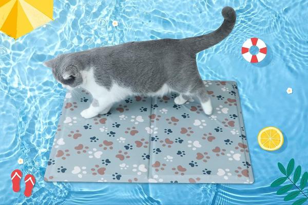 Las mejores mantas refrescantes para gatos - IEUUMLER