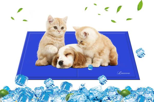 Las mejores mantas refrescantes para gatos - Lauva