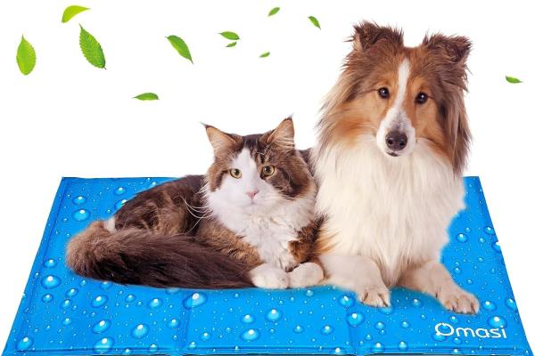 Las mejores mantas refrescantes para gatos - Omasi