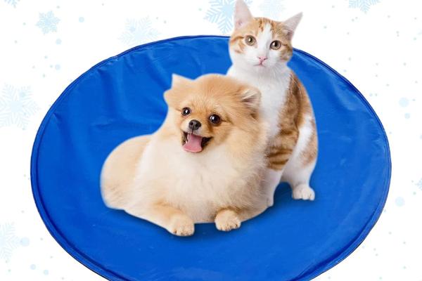 Las mejores mantas refrescantes para gatos - Oneshlee