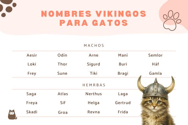 Nombres vikingos para gatos
