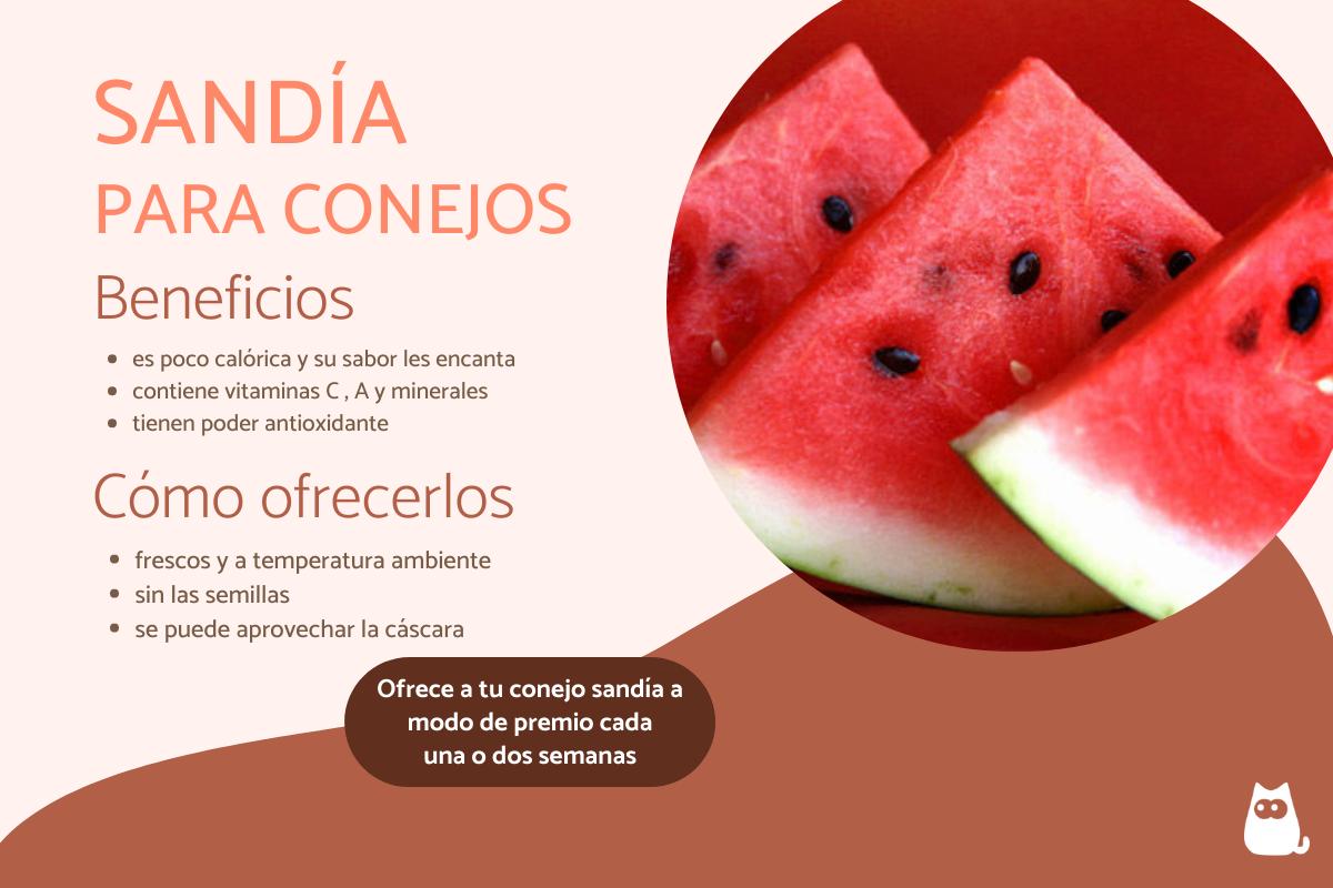 ¿Los conejos pueden comer sandía?