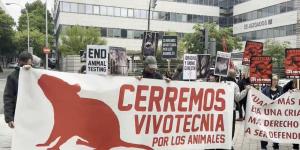 Caso Vivotecnia: todo lo que ha pasado en el juicio y qué esperar de la sentencia