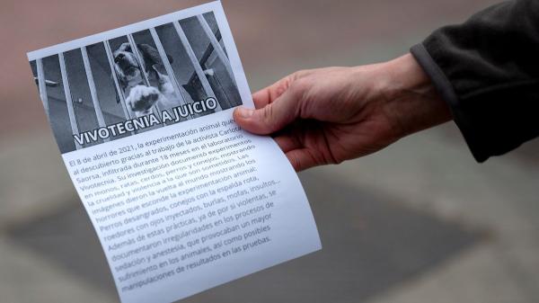 Caso Vivotecnia: todo lo que ha pasado en el juicio y qué esperar de la sentencia - Los hechos juzgados en el caso Vivotecnia: anestesia y extracción retroorbital