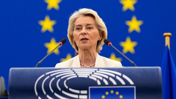 La UE cambia las reglas para comprar o adoptar perros y gatos: a partir del 31 de agosto de 2028, será obligatorio entregar por escrito su historial clínico, vacunas y cuidados específicos