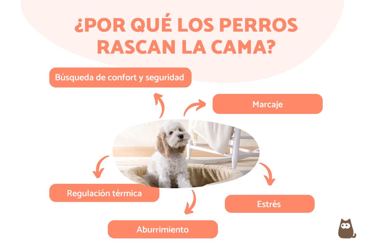 ¿Por qué los perros rascan la cama?