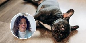 Alba Pérez, veterinaria, explica el método ABC para salvar a tu perro si deja de respirar: “Solo tienes tres minutos para actuar”