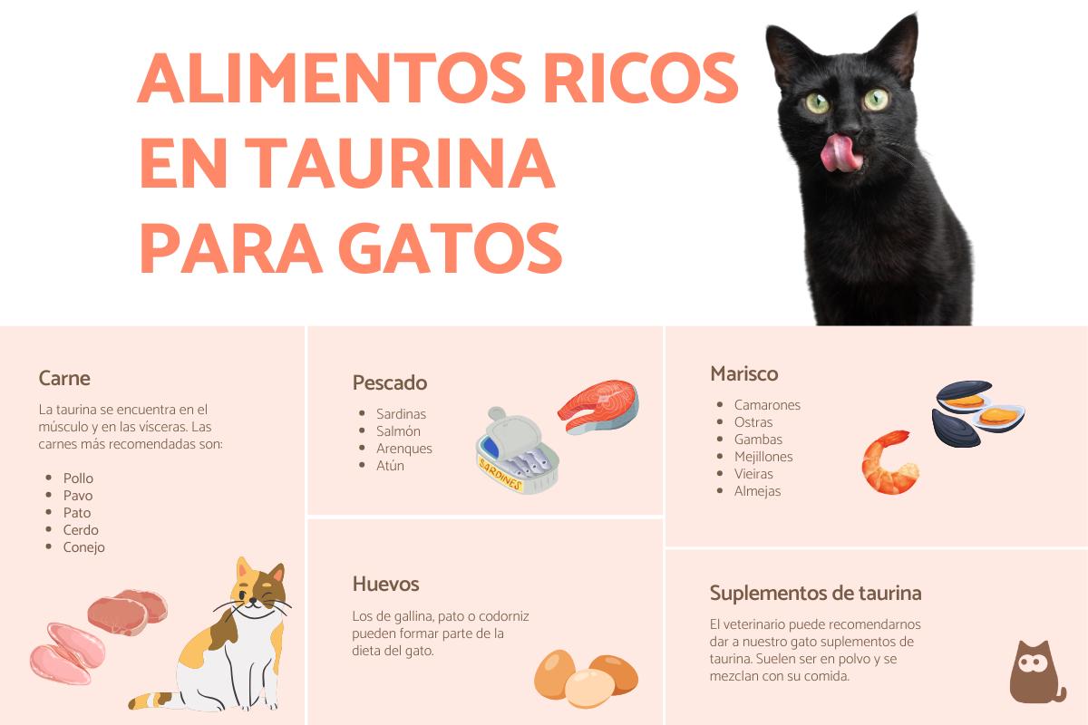 Alimentos ricos en taurina para gatos