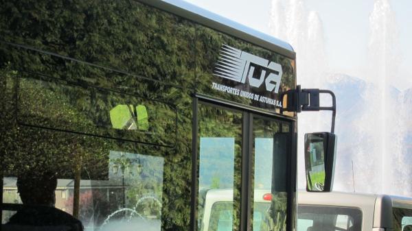 Viajar con tu mascota en autobús ya es posible en Oviedo: así será la nueva normativa - La ley de bienestar animal impulsa el transporte público con mascotas