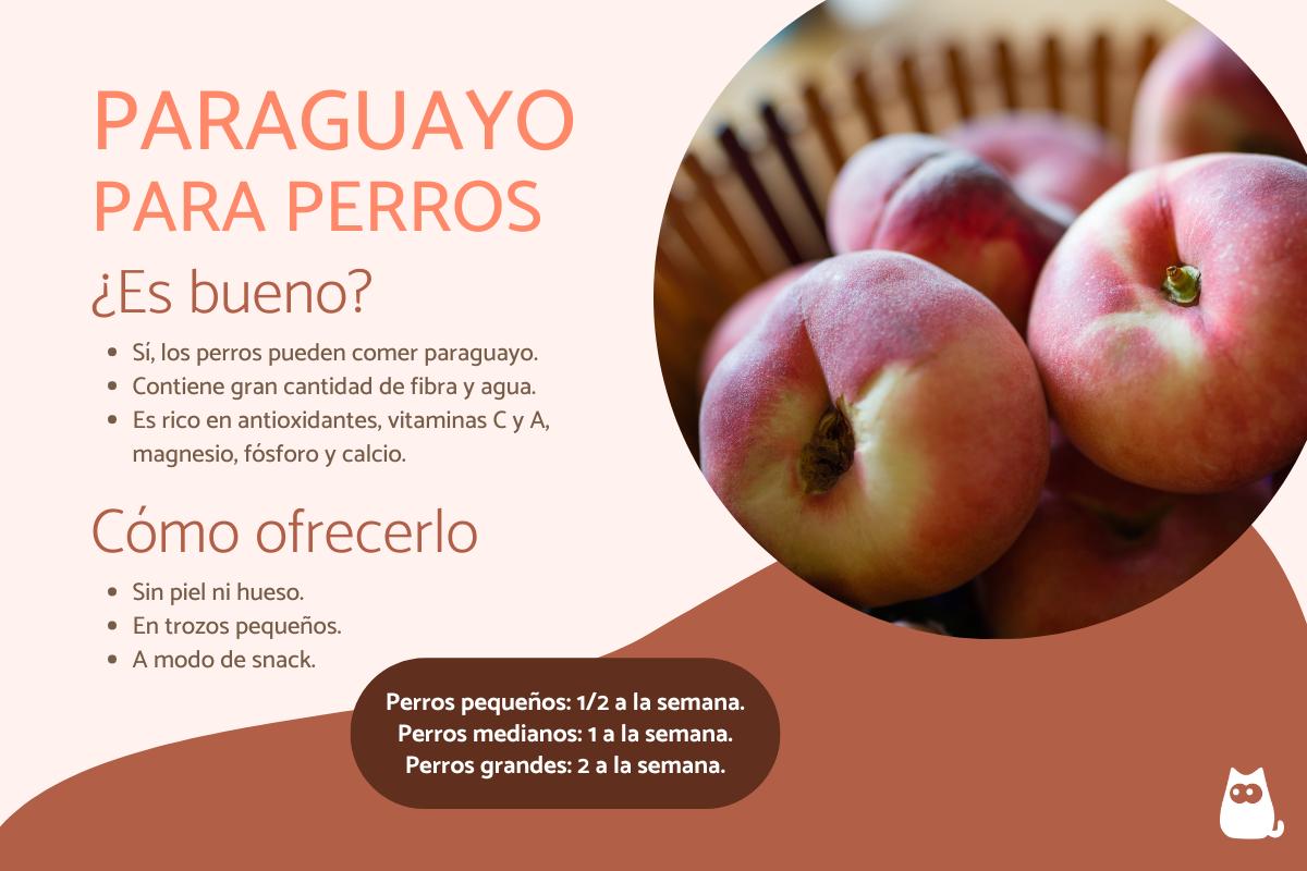 ¿Los perros pueden comer paraguayos?