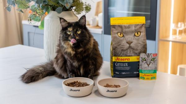 Josera: para las nueve vidas felinas - Súper sabroso, súper compatible, súper premium