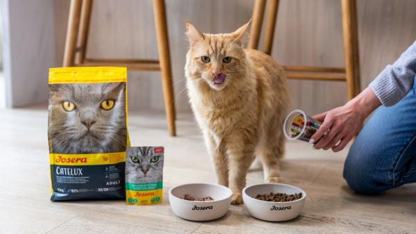 Josera: para las nueve vidas felinas - Toda la gama para gatos de un vistazo