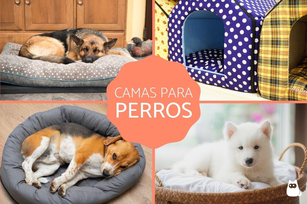 Las mejores camas para perros