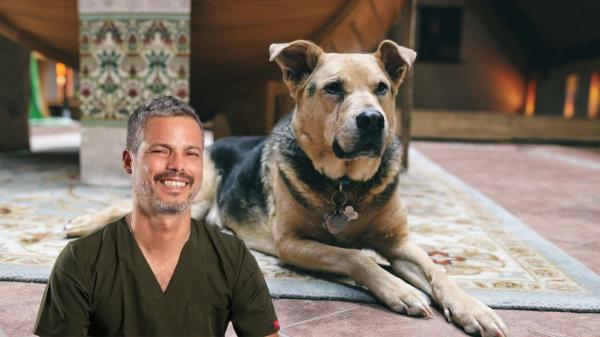 Pancho Cavero, veterinario: “Si tu perro es mayor y hace esto, puede estar perdiendo la memoria”