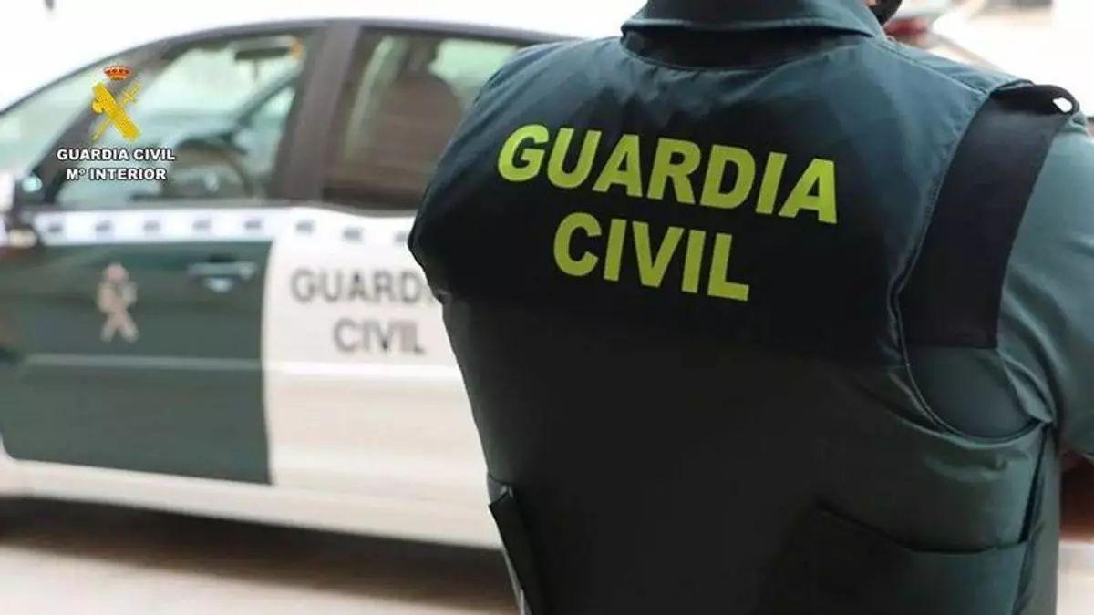 La Guardia Civil detiene a un hombre por matar a tiros a cinco perros en Toledo: qué penas prevé la ley y cómo avanzó la investigación