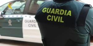 La Guardia Civil detiene a un hombre por matar a tiros a cinco perros en Toledo: qué penas prevé la ley y cómo avanzó la investigación