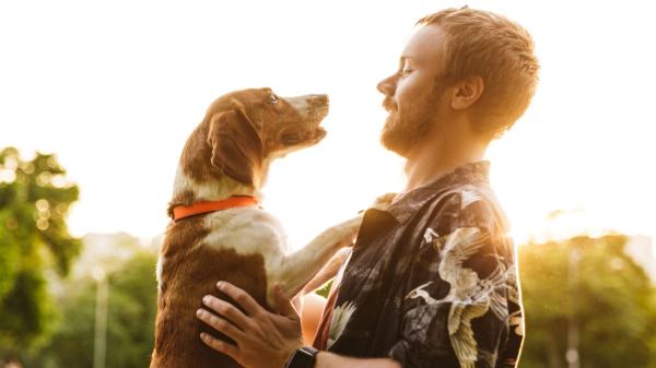 Rafa, educador canino: “La custodia compartida no siempre es la mejor opción para un perro” - El estrés provocado por los cambios también puede afectar a su salud
