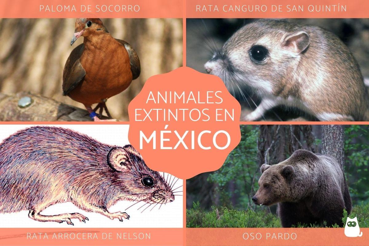 Animales extintos en México