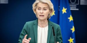 La UE cambia las normas: a partir del 31 de agosto de 2028, los cachorros no podrán venderse ni darse en adopción antes de las 8 semanas