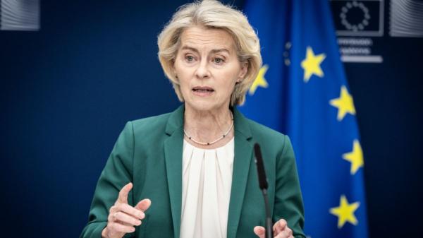 La UE cambia las normas: a partir del 31 de agosto de 2028, los cachorros no podrán venderse ni darse en adopción antes de las 8 semanas