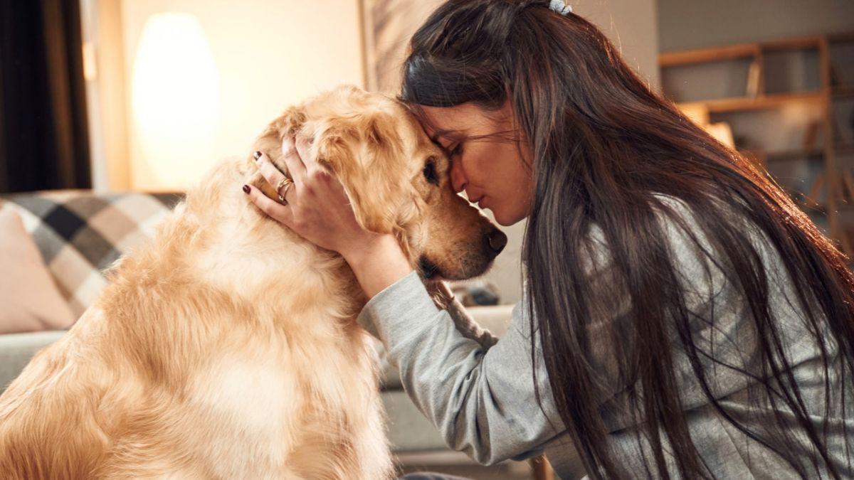 La psicología dice que las personas que sienten culpa cuando dejan solo a su perro no lo hacen porque sean demasiado sensibles: hay un motivo detrás