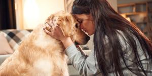 La psicología dice que las personas que sienten culpa cuando dejan solo a su perro no lo hacen porque sean demasiado sensibles: hay un motivo detrás