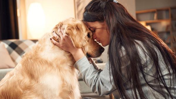 La psicología dice que las personas que sienten culpa cuando dejan solo a su perro no lo hacen porque sean demasiado sensibles: hay un motivo detrás
