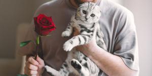 Cuidado con las rosas si tienes gato o perro este Sant Jordi: esto es lo que puede pasar si las ingieren o las tocan