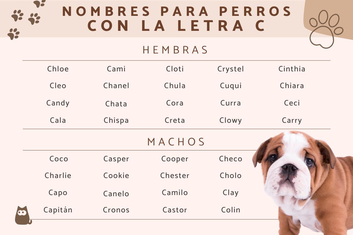 Nombres para perros con la letra C