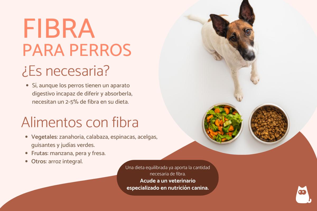 cuál es la mejor comida para un perro diabético