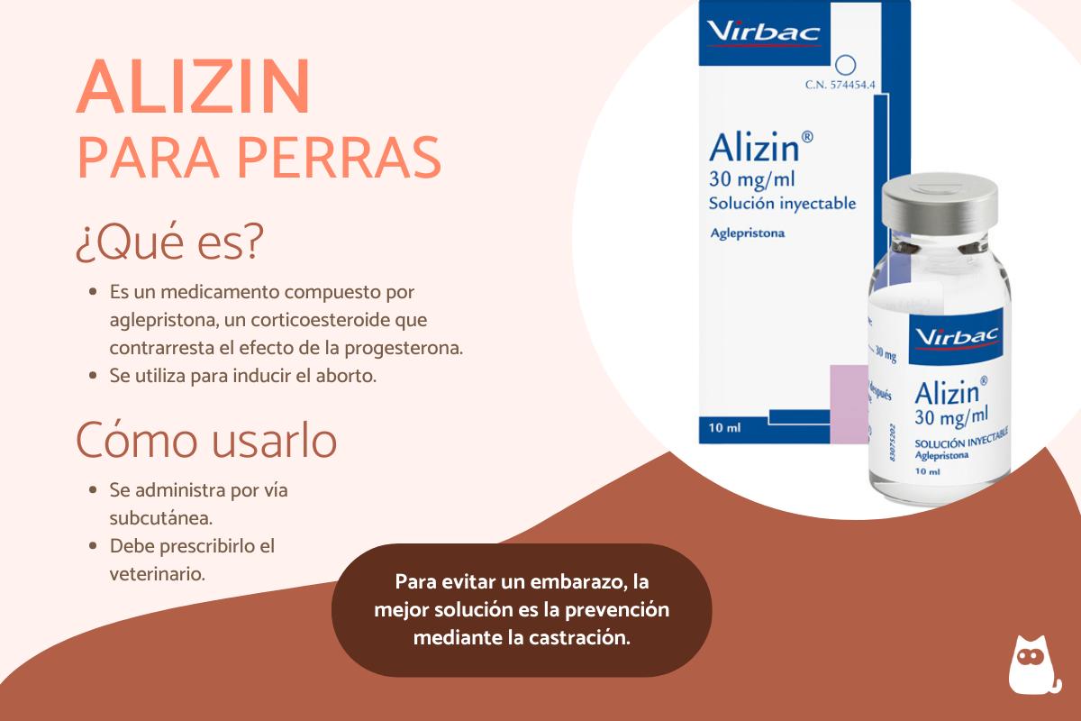 Alizin para perros - Para qué sirve y efectos secundarios