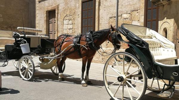 Palma dice adiós a los caballos: el giro histórico de las calesas que marca un cambio en toda España - De Capdepera a Palma: el fin de la tracción animal se extiende por la isla
