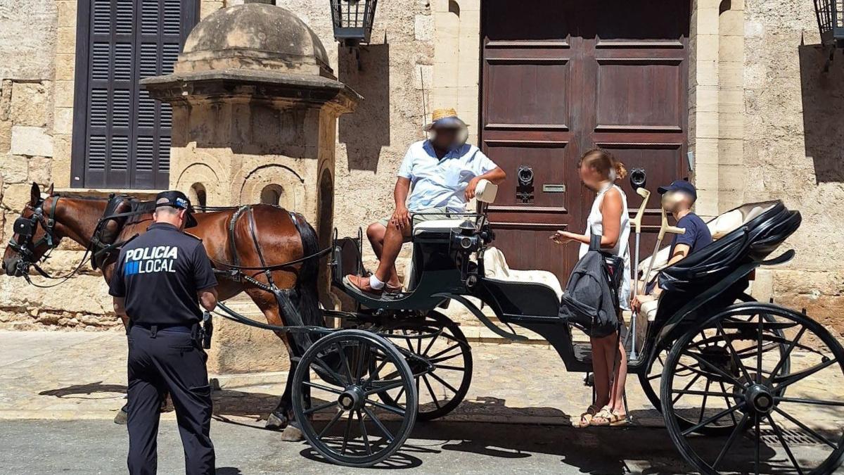 Palma dice adiós a los caballos: el giro histórico de las calesas que marca un cambio en toda España