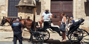 Palma dice adiós a los caballos: el giro histórico de las calesas que marca un cambio en toda España