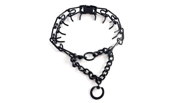 Ya ha entrado en vigor: la Ley de Bienestar Animal prohíbe el uso de collares eléctricos y de pinchos en perros - Los motivos detrás de la prohibición de estos collares en perros