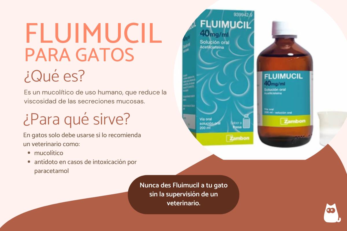 Fluimucil para gatos: dosis y para qué sirve