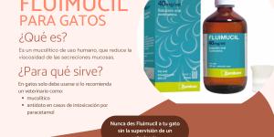 Fluimucil para gatos: dosis y para qué sirve